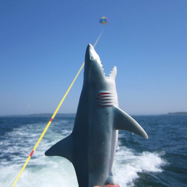 a man flying through the air over a body of water