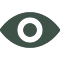 eye(1) icon