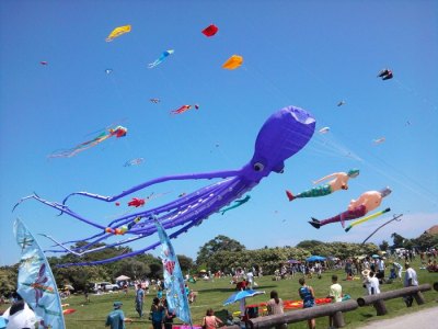 a group of people flying kites in a field