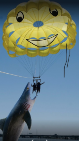 photo of fake shark jumping out at parasailers